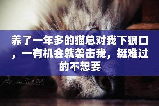 養了一年多的貓總對我下狠口，一有機會就襲擊我，挺難過的不想要
