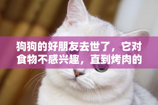 狗狗的好朋友去世了，它對食物不感興趣，直到烤肉的出現
