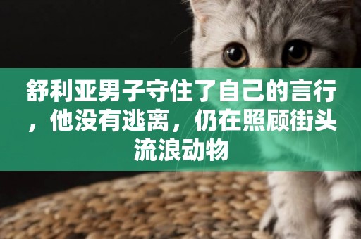 舒利亞男子守住了自己的言行，他沒有逃離，仍在照顧街頭流浪動物