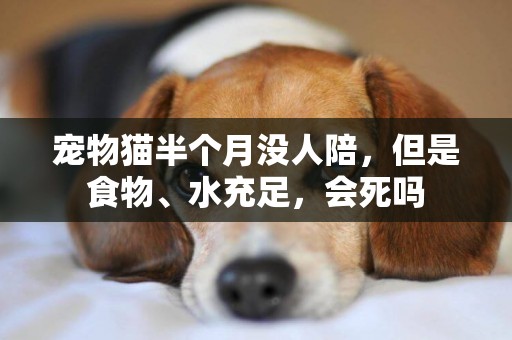 寵物貓半個月沒人陪，但是食物、水充足，會死嗎