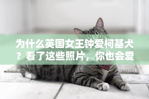 為什么英國女王鐘愛柯基犬？看了這些照片，你也會愛上它們