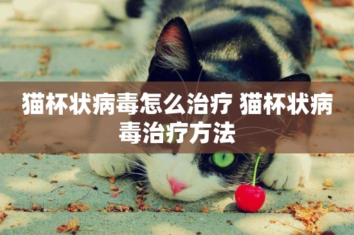貓杯狀病毒怎么治療 貓杯狀病毒治療方法