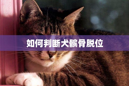 如何判斷犬髕骨脫位