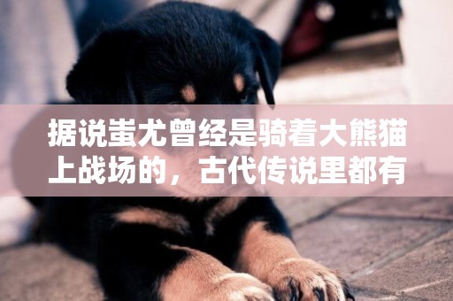 據說蚩尤曾經是騎著大熊貓上戰場的，古代傳說里都有哪些奇葩的坐
