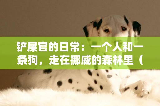 鏟屎官的日常：一個人和一條狗，走在挪威的森林里（12張）