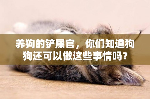 養狗的鏟屎官，你們知道狗狗還可以做這些事情嗎？