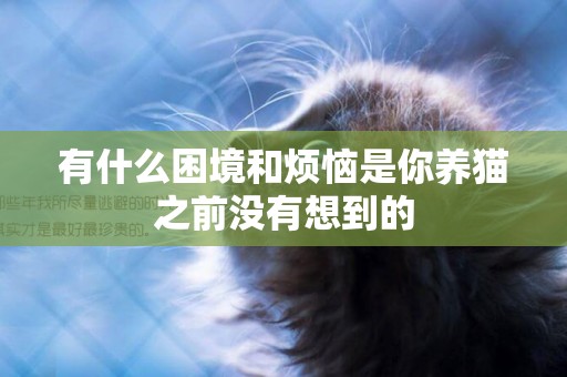 有什么困境和煩惱是你養貓之前沒有想到的