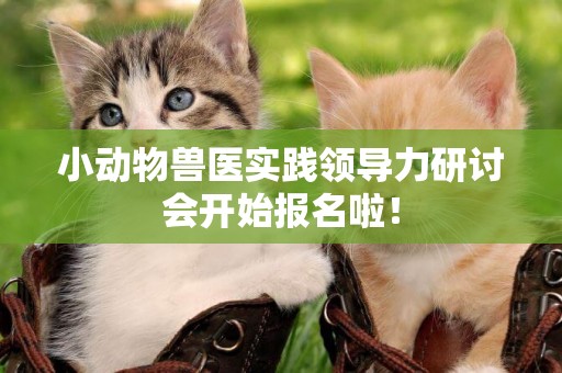 小動物獸醫實踐領導力研討會開始報名啦！