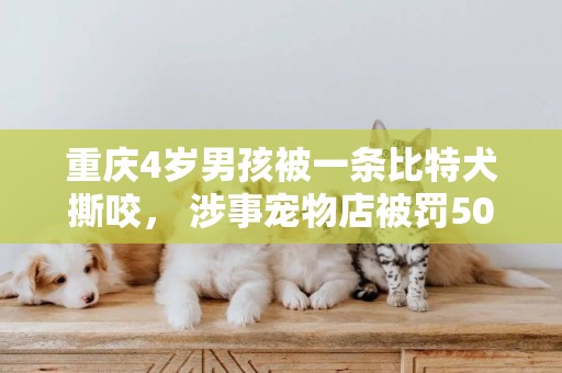 重慶4歲男孩被一條比特犬撕咬， 涉事寵物店被罰500元