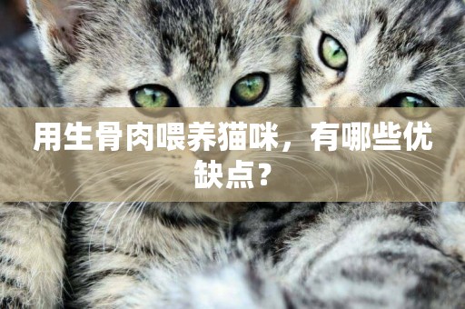 用生骨肉喂養貓咪，有哪些優缺點？