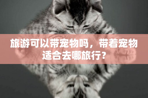 旅游可以帶寵物嗎，帶著寵物適合去哪旅行？