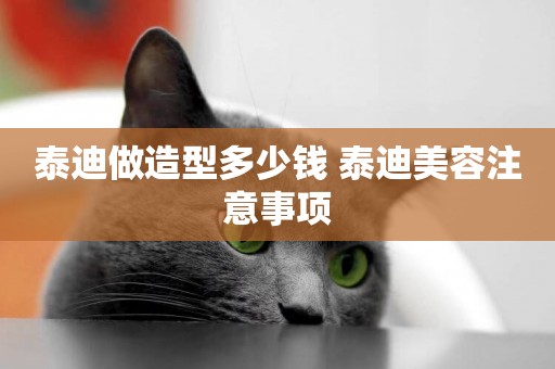 泰迪做造型多少錢 泰迪美容注意事項