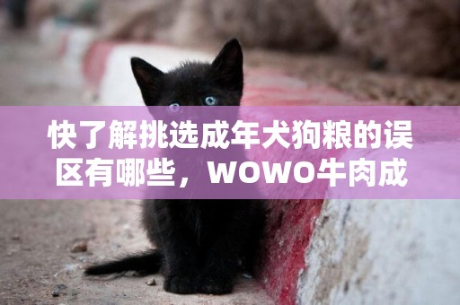 快了解挑選成年犬狗糧的誤區有哪些，WOWO牛肉成犬糧教你挑