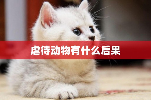 虐待動物有什么后果