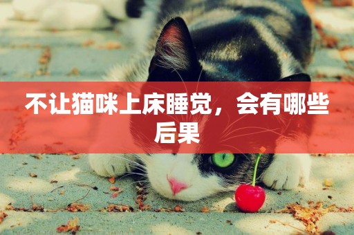 不讓貓咪上床睡覺，會有哪些后果