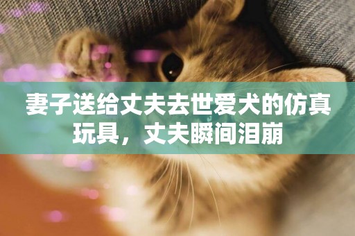 妻子送給丈夫去世愛犬的仿真玩具，丈夫瞬間淚崩