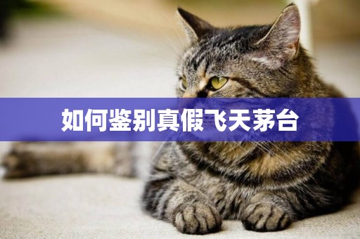 如何鑒別真假飛天茅臺