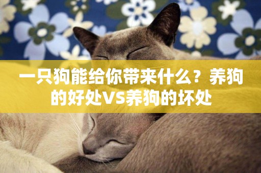 一只狗能給你帶來什么？養狗的好處VS養狗的壞處