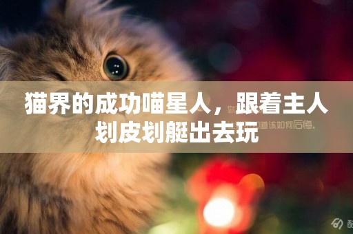 貓界的成功喵星人，跟著主人劃皮劃艇出去玩