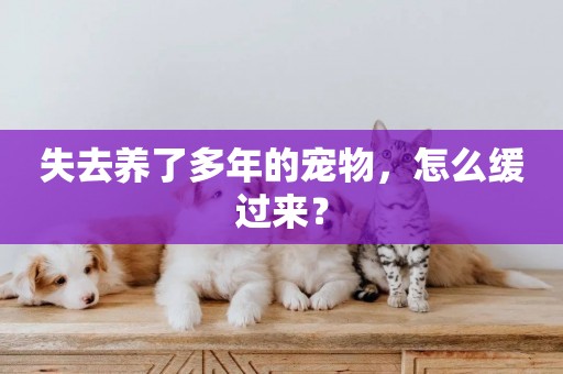 失去養了多年的寵物，怎么緩過來？