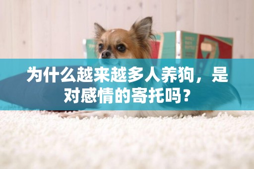 為什么越來越多人養狗，是對感情的寄托嗎？