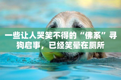 一些讓人哭笑不得的“佛系”尋狗啟事，已經笑暈在廁所