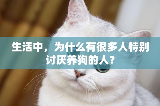 生活中，為什么有很多人特別討厭養狗的人？