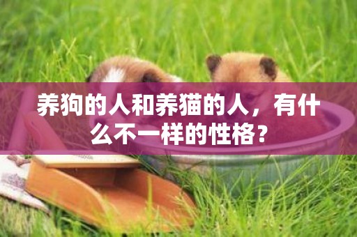 養狗的人和養貓的人，有什么不一樣的性格？