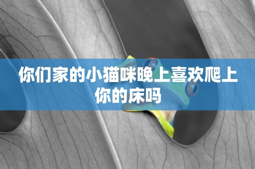 你們家的小貓咪晚上喜歡爬上你的床嗎