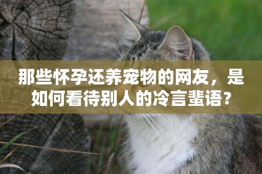 那些懷孕還養寵物的網友，是如何看待別人的冷言蜚語？
