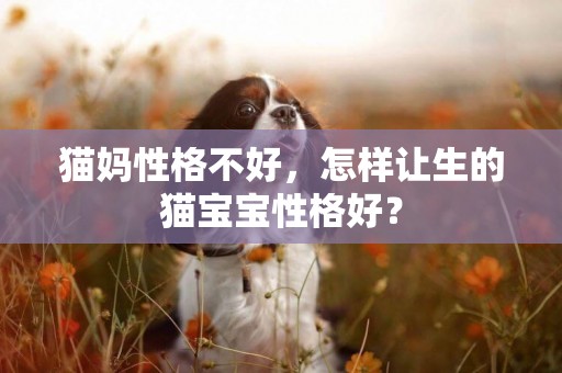 貓媽性格不好，怎樣讓生的貓寶寶性格好？