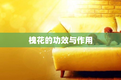 槐花的功效與作用