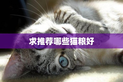 求推薦哪些貓糧好