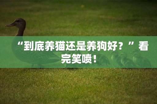 “到底養貓還是養狗好？”看完笑噴！