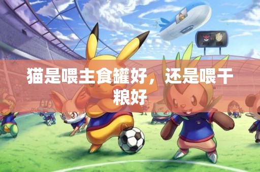 貓是喂主食罐好，還是喂干糧好
