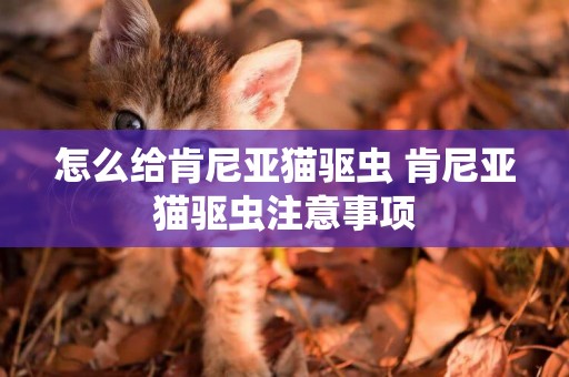 怎么給肯尼亞貓驅蟲 肯尼亞貓驅蟲注意事項