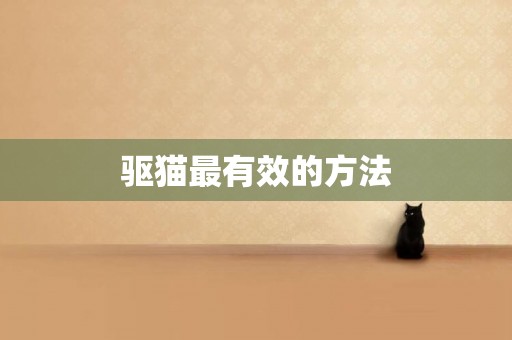 驅貓最有效的方法