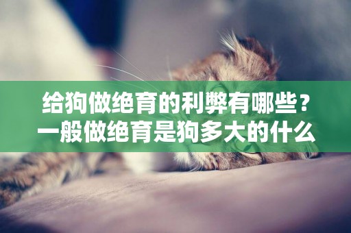 給狗做絕育的利弊有哪些？一般做絕育是狗多大的什么時候？