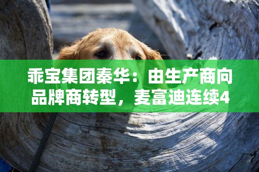 乖寶集團秦華：由生產商向品牌商轉型，麥富迪連續4年翻番式增長