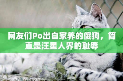 網友們Po出自家養的傻狗，簡直是汪星人界的恥辱