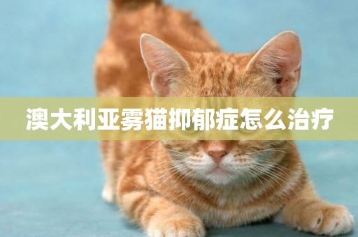 澳大利亞霧貓抑郁癥怎么治療