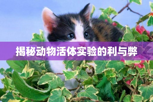 揭秘動物活體實驗的利與弊