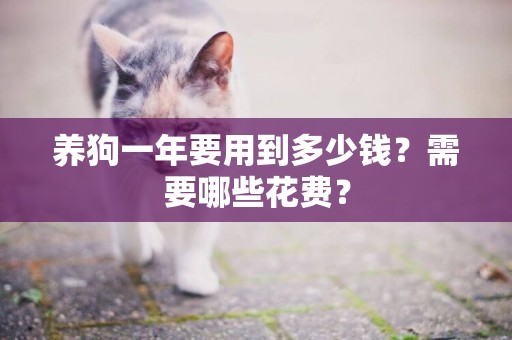 養狗一年要用到多少錢？需要哪些花費？