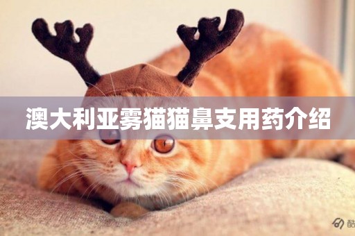 澳大利亞霧貓貓鼻支用藥介紹