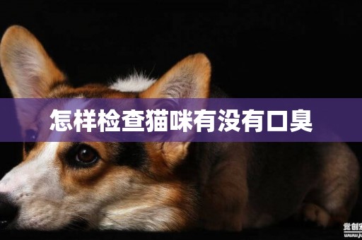 怎樣檢查貓咪有沒有口臭