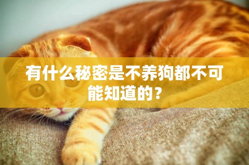有什么秘密是不養狗都不可能知道的？