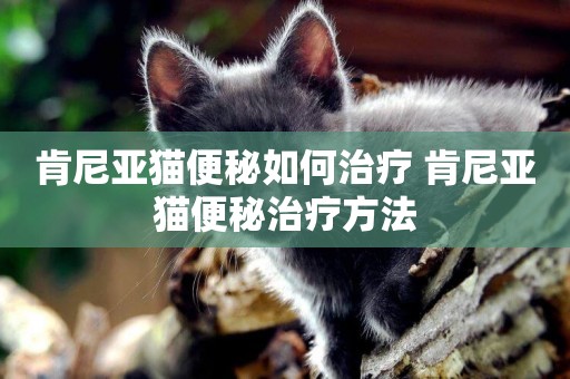 肯尼亞貓便秘如何治療 肯尼亞貓便秘治療方法