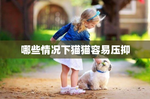 哪些情況下貓貓容易壓抑