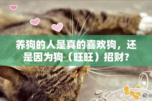 養狗的人是真的喜歡狗，還是因為狗（旺旺）招財？