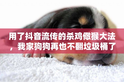 用了抖音流傳的殺雞儆猴大法，我家狗狗再也不翻垃圾桶了